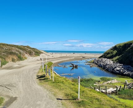Himatangi Beach has absolutely turned it ON for the last patrol of the season!!